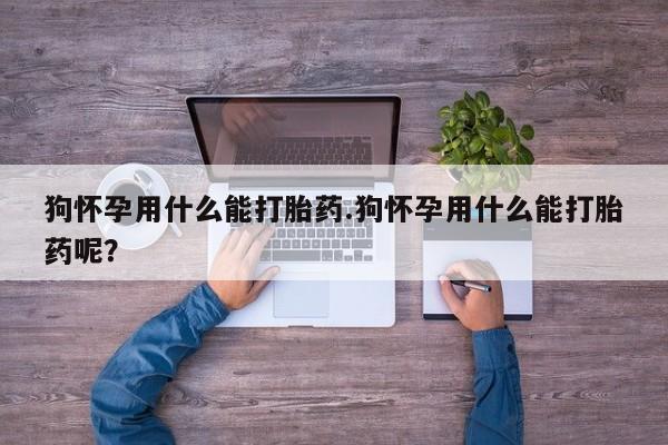 网上米非司酮片打胎药网店狗怀孕用什么能打胎药.狗怀孕用什么能打胎药呢？