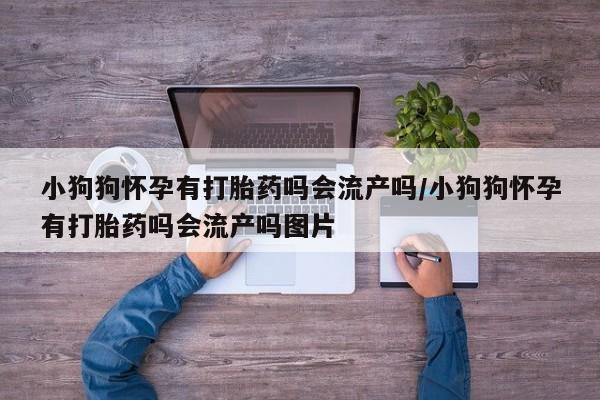 网上米非司酮片打胎药网店小狗狗怀孕有打胎药吗会流产吗/小狗狗怀孕有打胎药吗会流产吗图片