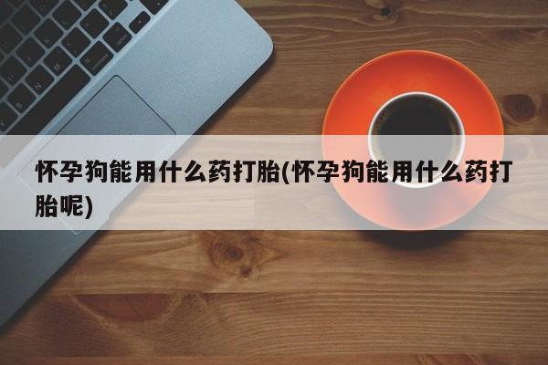 网上米非司酮片打胎药网店怀孕狗能用什么药打胎(怀孕狗能用什么药打胎呢)