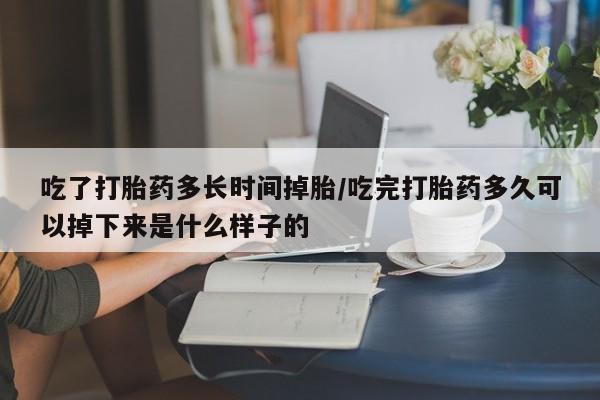 网上米非司酮片打胎药网店吃了打胎药多长时间掉胎/吃完打胎药多久可以掉下来是什么样子的